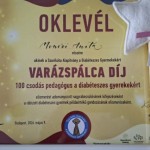 Varázspálca díj 2026